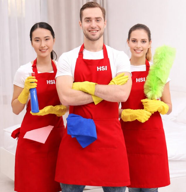 hsi-about copy
